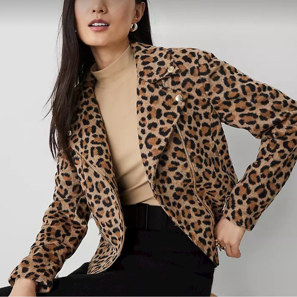 Ann Taylor moto jacket